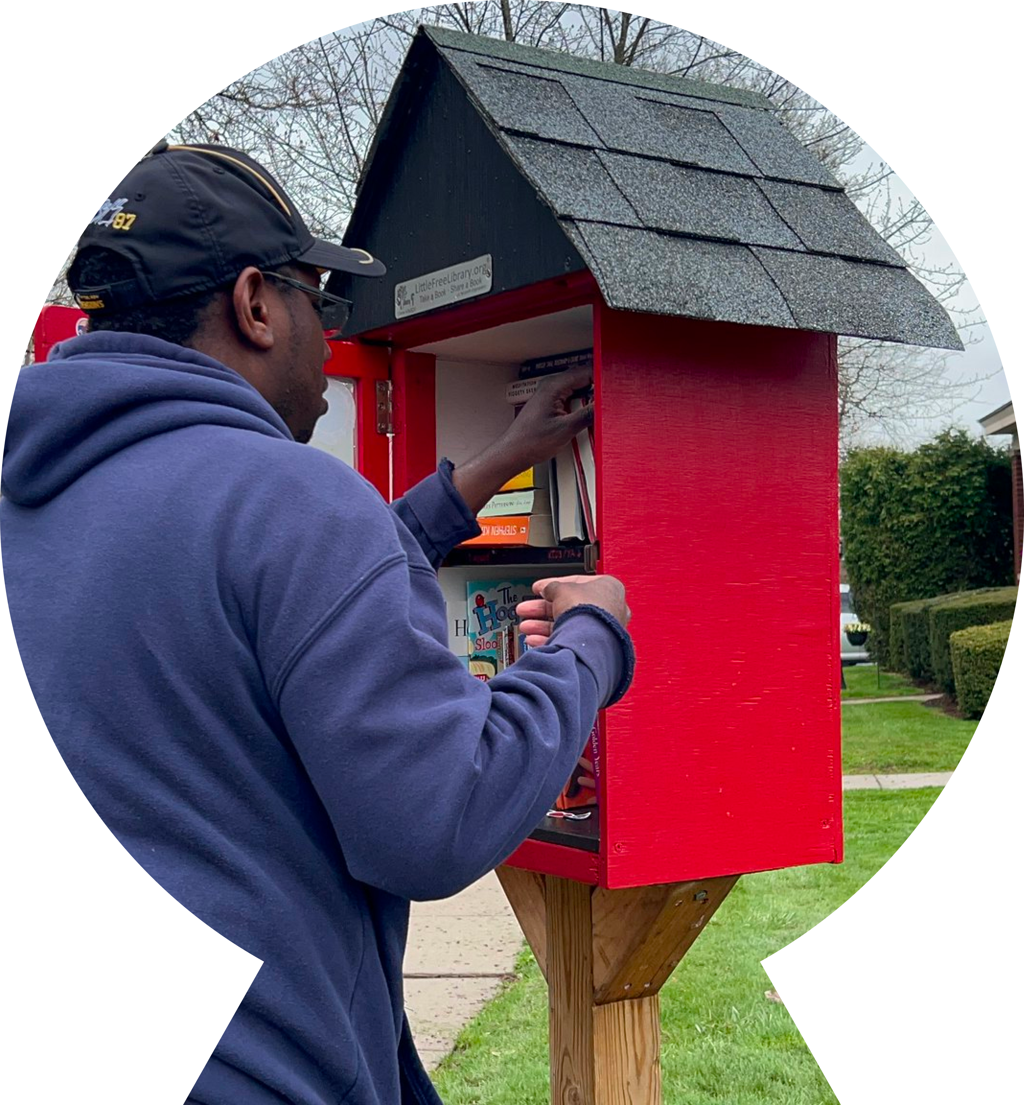 Young man searching inside the "Little Free Library" found in a park.